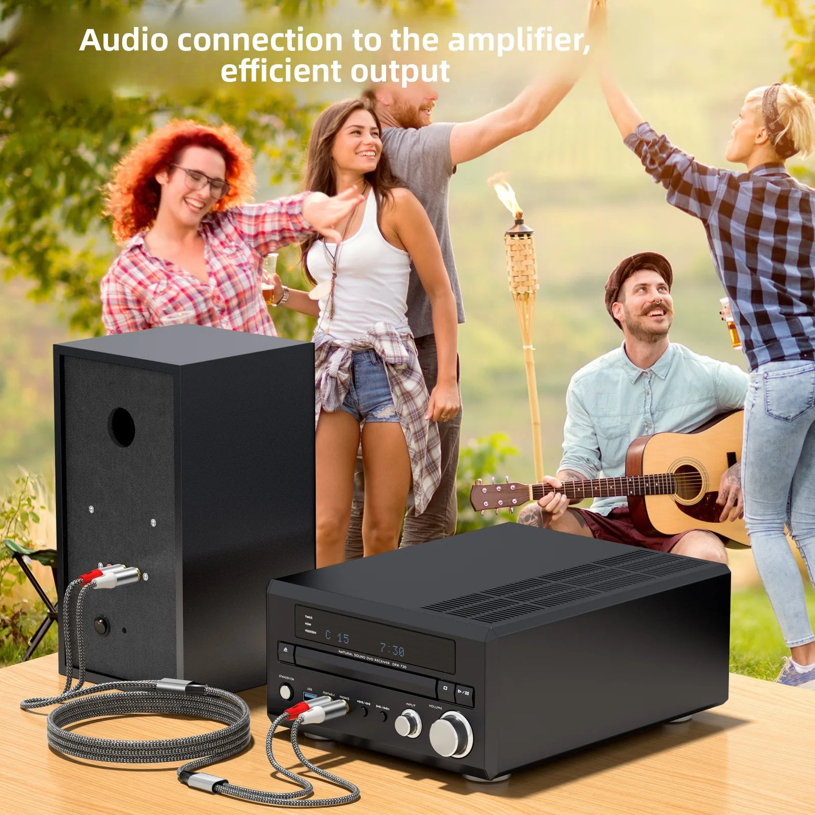Kabel Audio RCA Ganda, 2 Pasan - Home Cinema Subwoofer ulasan dan harga