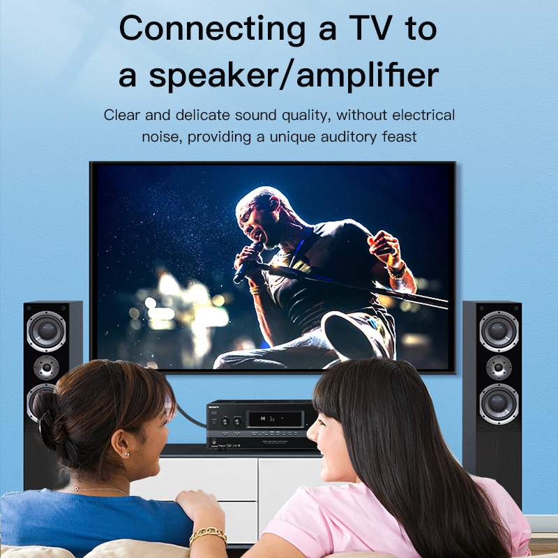 CHOSEAL Kabel RCA Kabel Audio  - Home Cinema Furniture ulasan dan harga